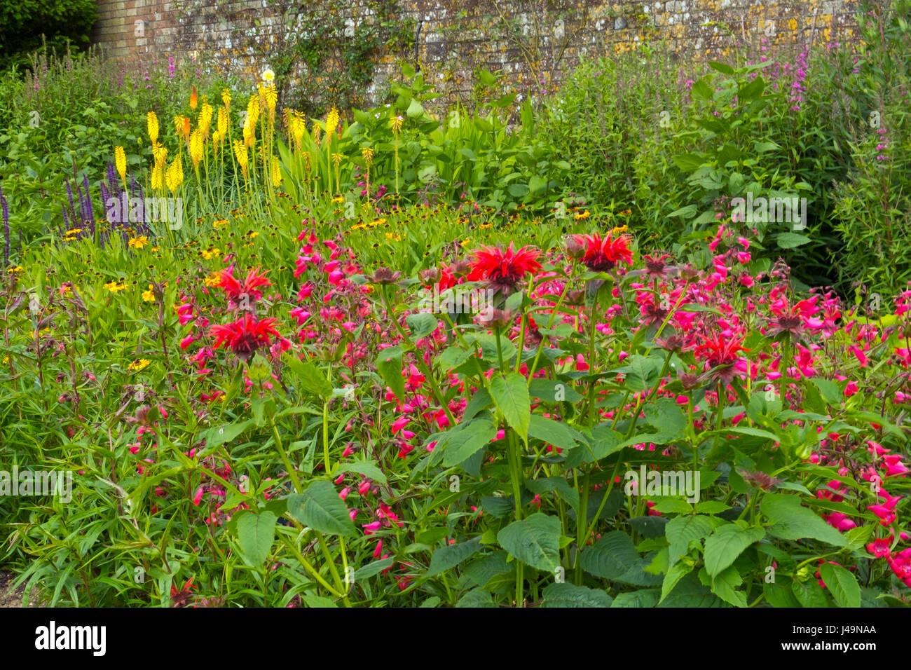 Summer colour flower border hires stock photography and images Alamy
