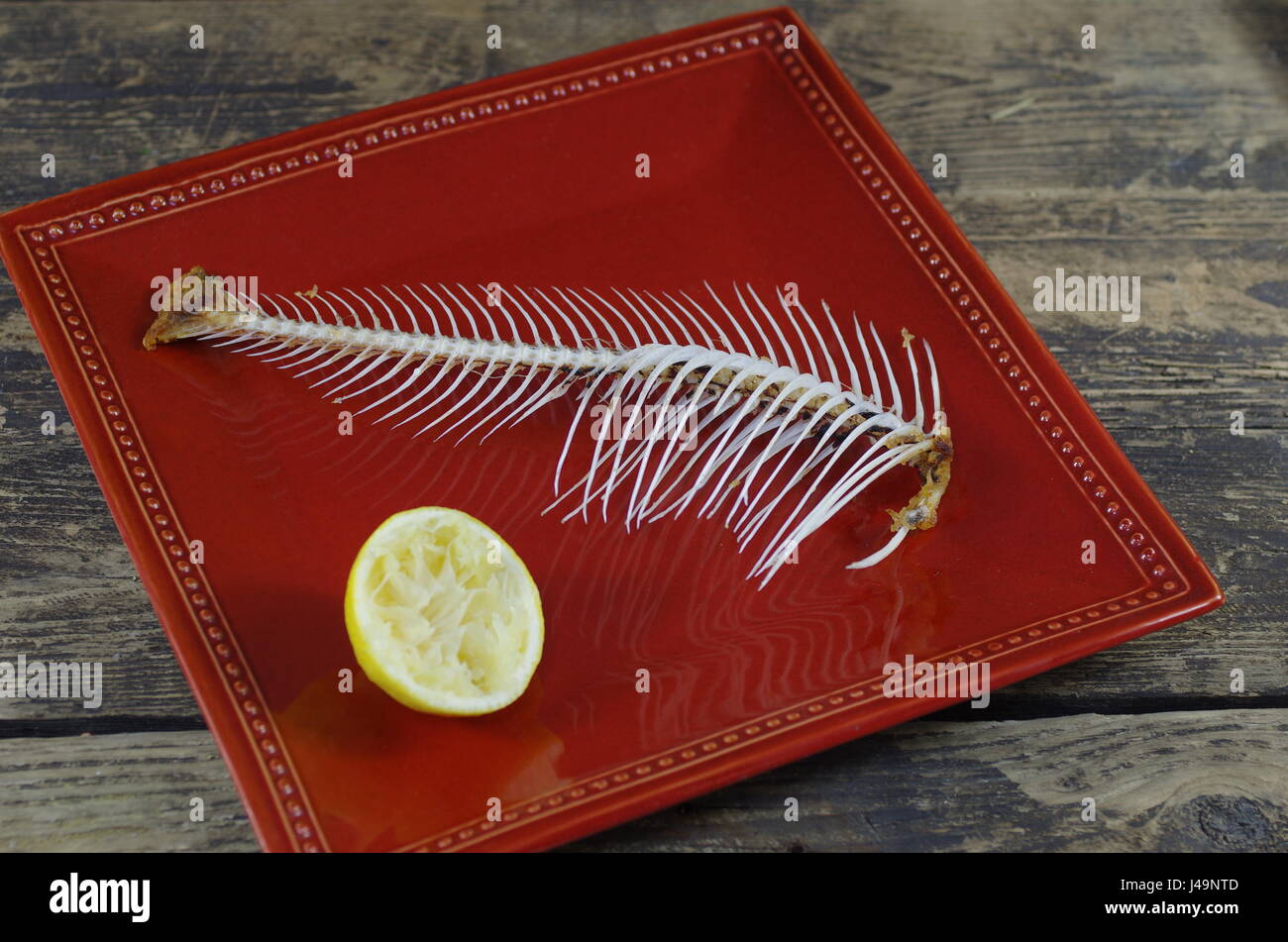 Fish Backbone High Resolution Stock Photography and Images Alamy