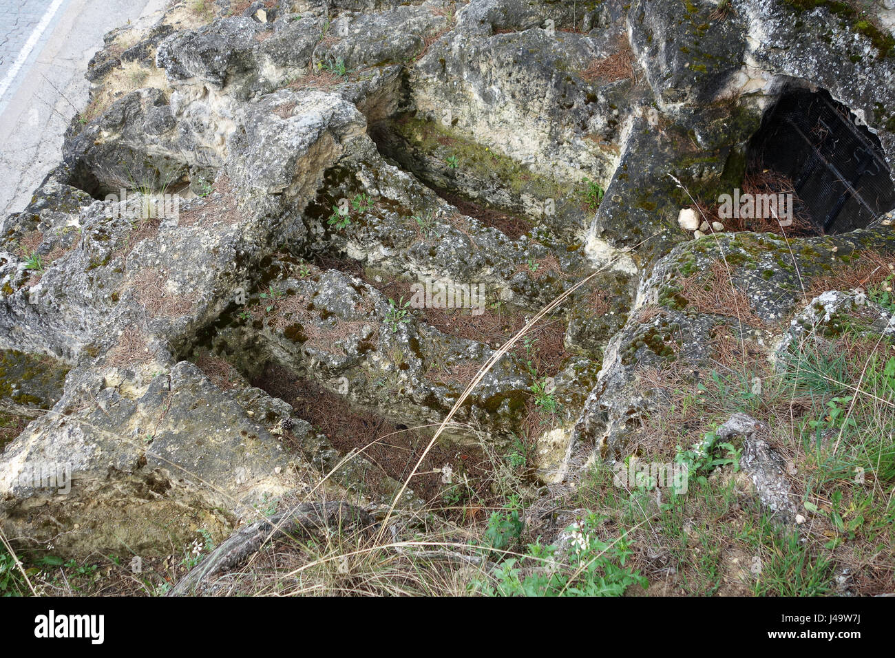 Segovia Jewish Cemetery known as ÒEl Pinarillo, was the cemetery of the