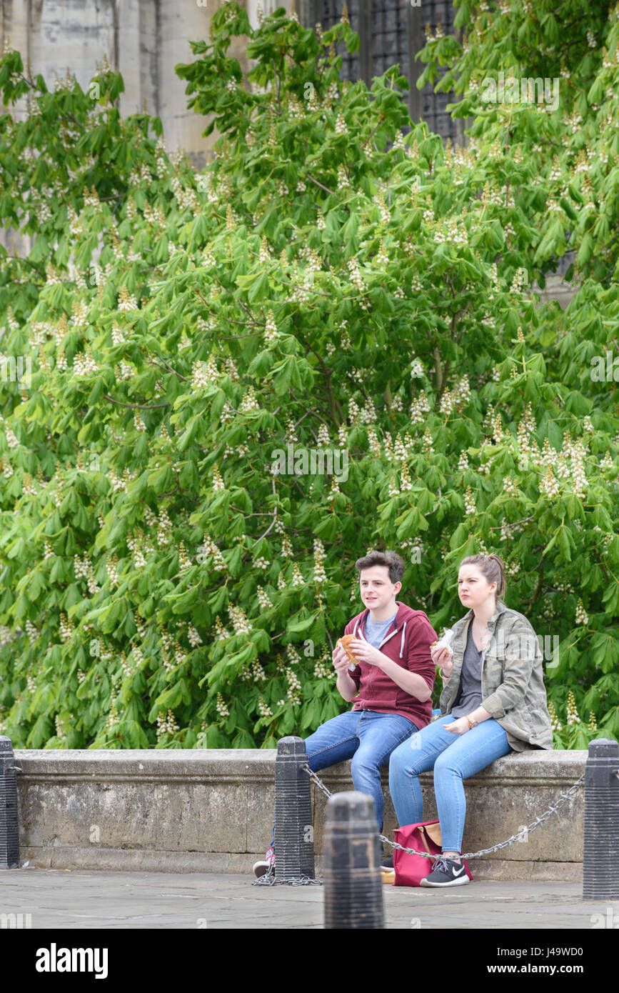 A couple of students sit eating their lunch on a low wall outside the front of King's college at the university of Cambridge, England, Britain. Stock Photo