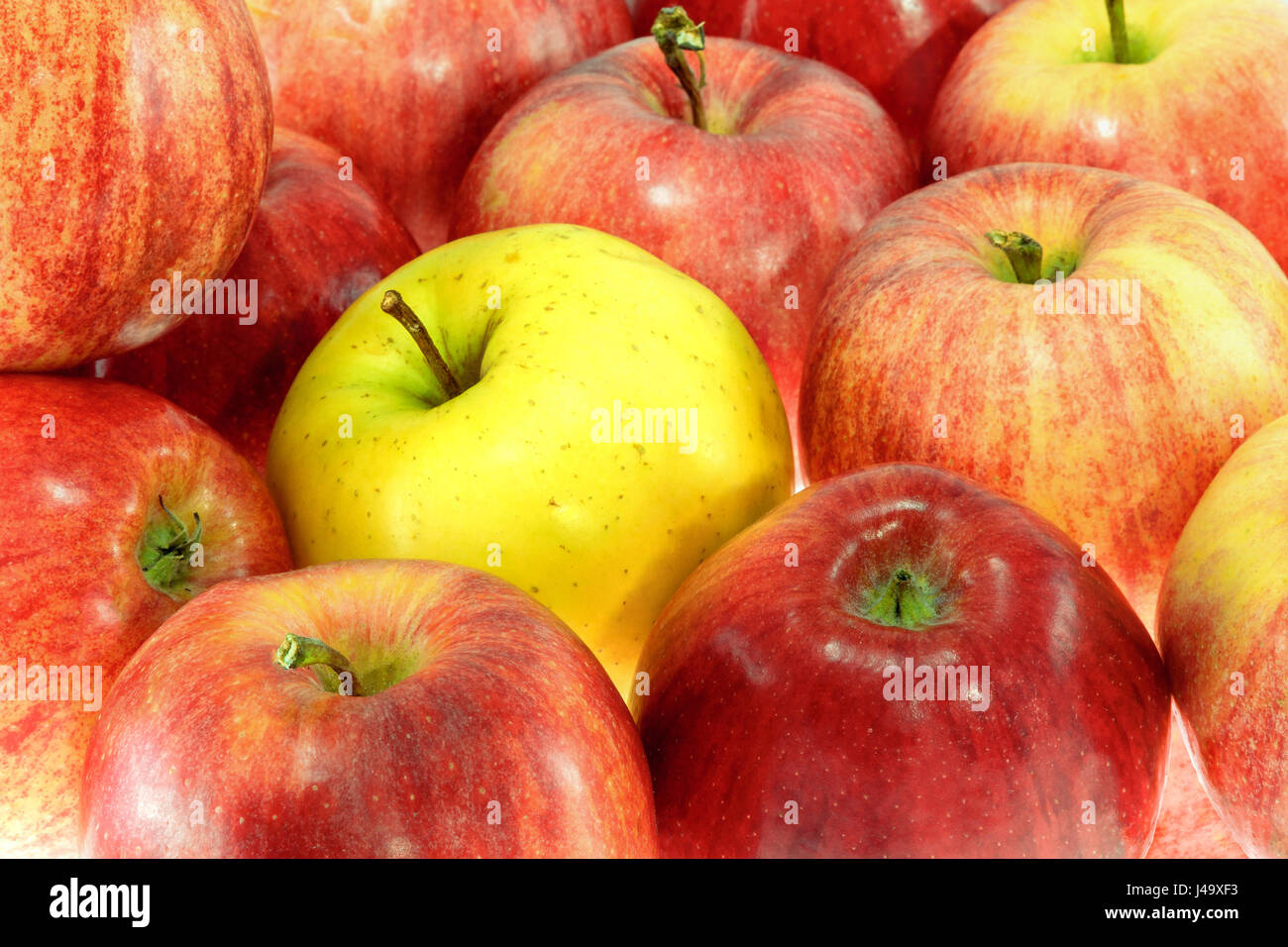 picture one ripe yellow apple with red apples Stock Photo - Alamy