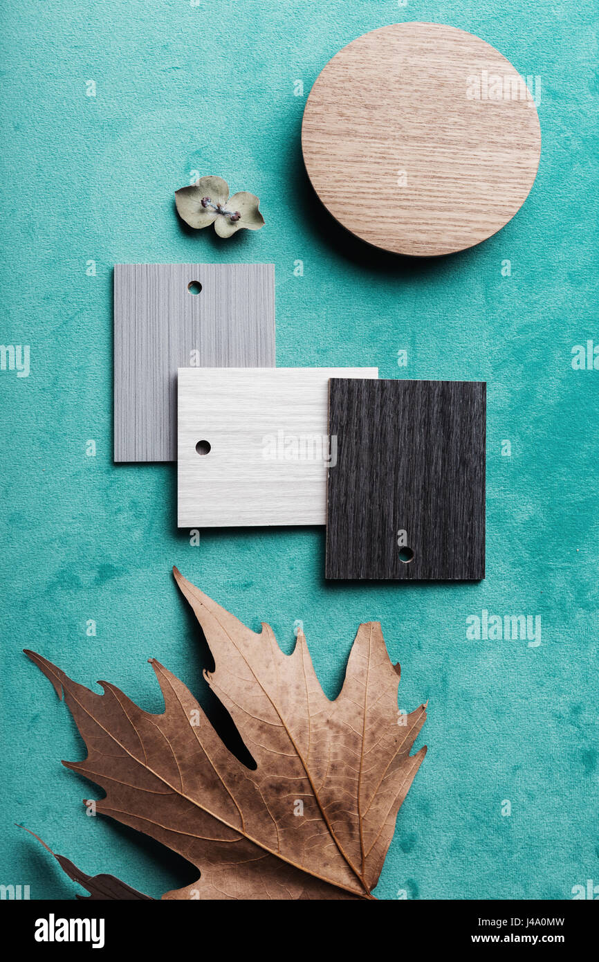 Autumn interior scheme on teal velvet background Stock Photo