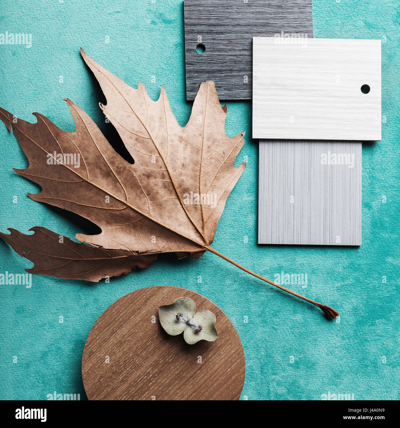Autumn interior scheme on teal velvet background Stock Photo