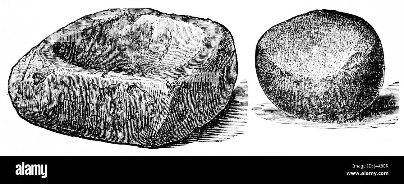 Mortar and pestle drawing hires stock photography and images Alamy