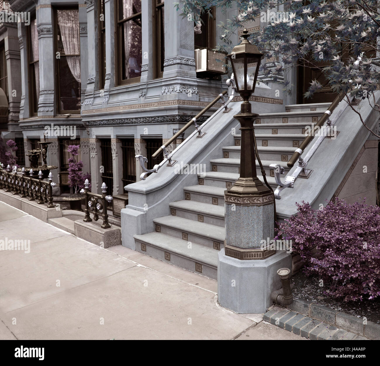 Living in New York Stock Photo Alamy