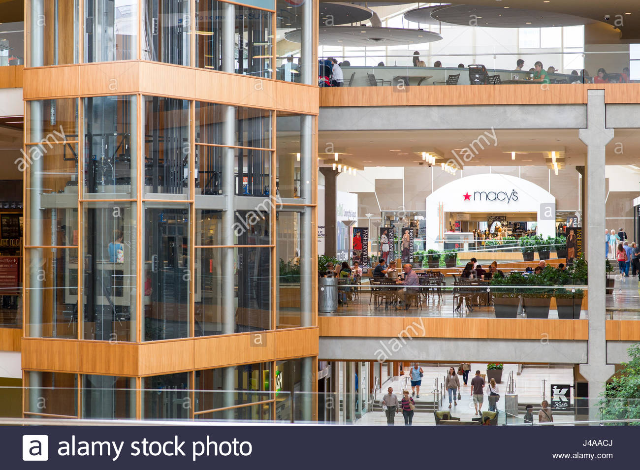Bellevue Square Mall >> People In The Center Court Of The Bellevue Square Shopping Center Bellevue Square Mall >> People In The Center Court Of The Bellevue Square Shopping Center