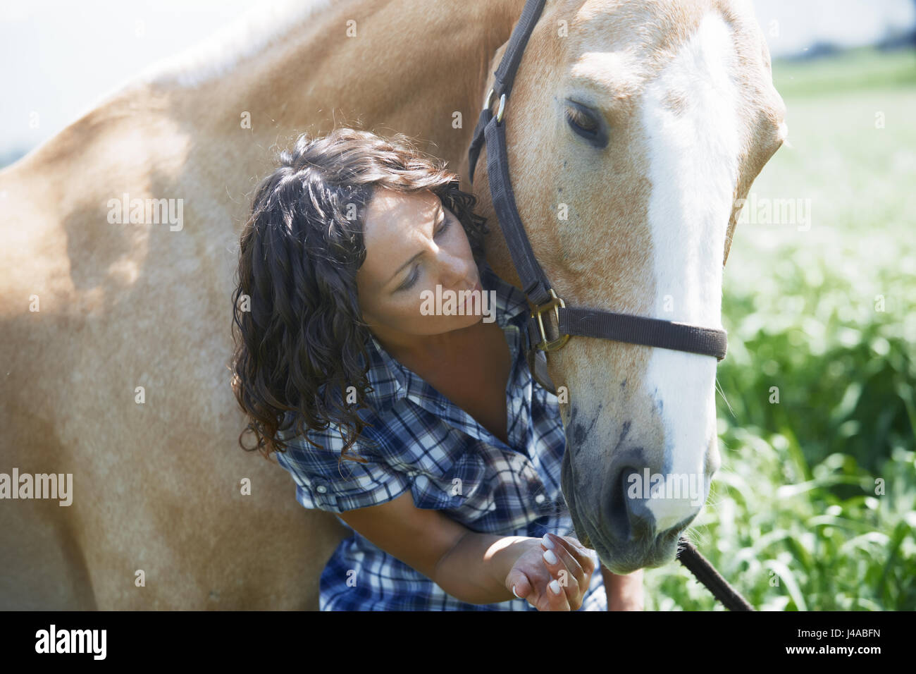 Woman and horse together at paddock Stock Photo