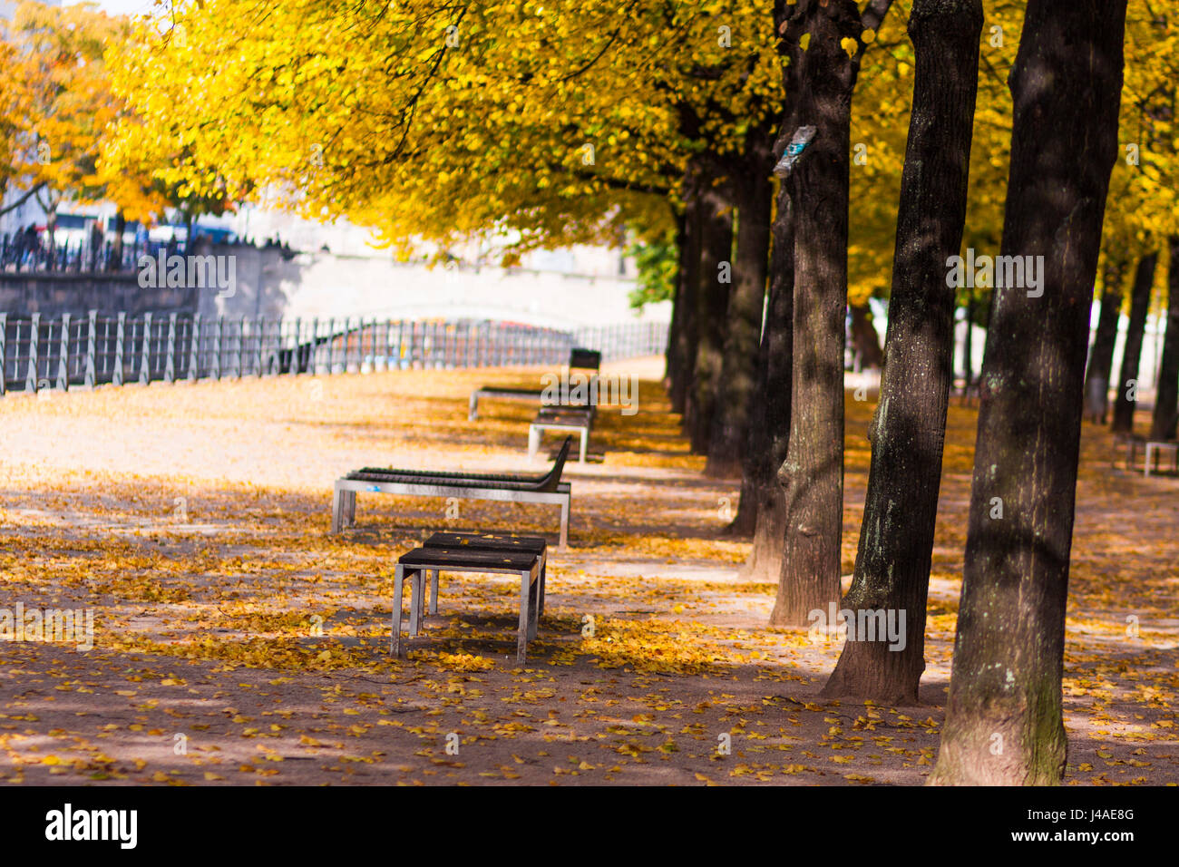 Empty benches and fall leaves in Berlin, Germany. Stock Photo