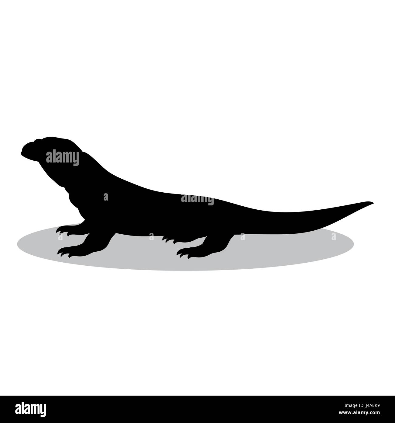 Lizard black silhouette hi-res stock photography and images - Alamy
