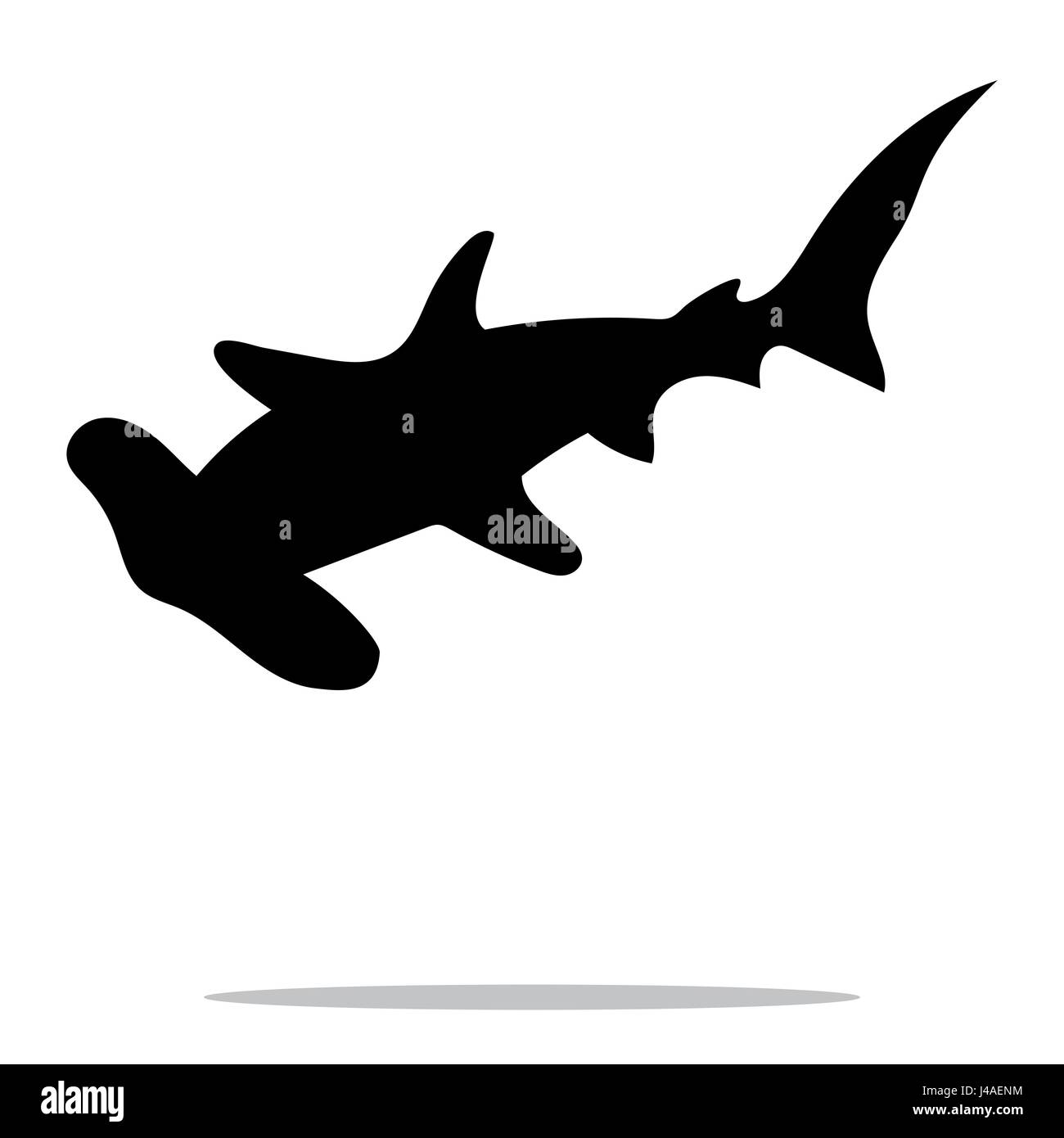 Shark hammerhead predator nautical black silhouette animal Stock Vector