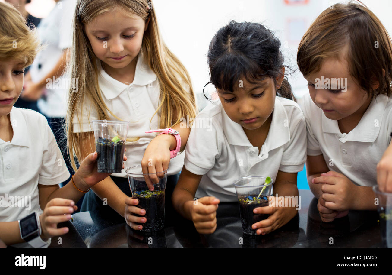 Group of diverse kindergarten students learning planting experiment in science laboratory class Stock Photo
