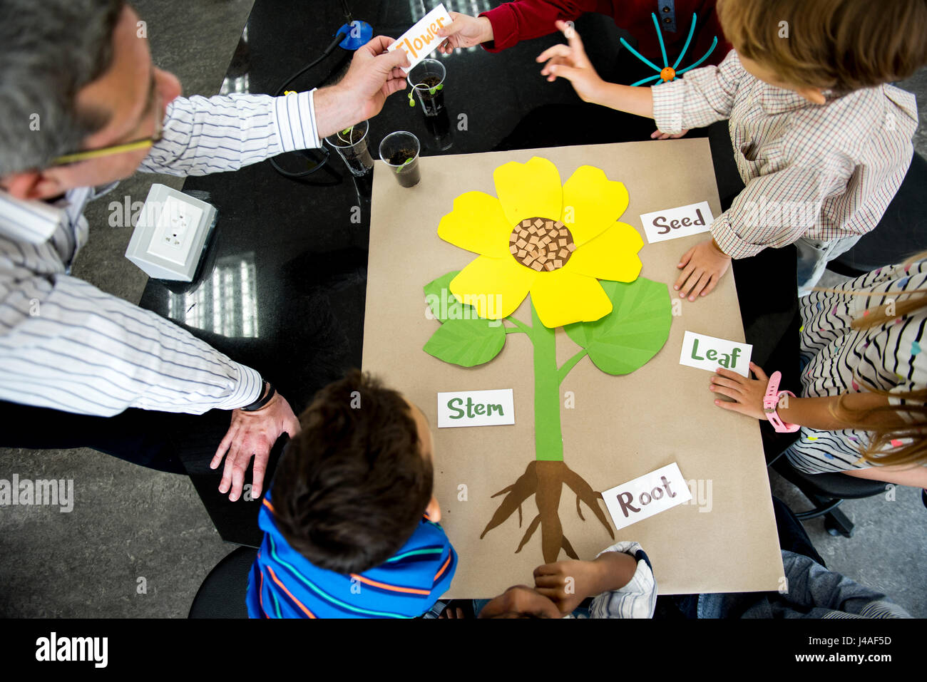 Teacher teaching flower structure to diverse group of kindergarten ...