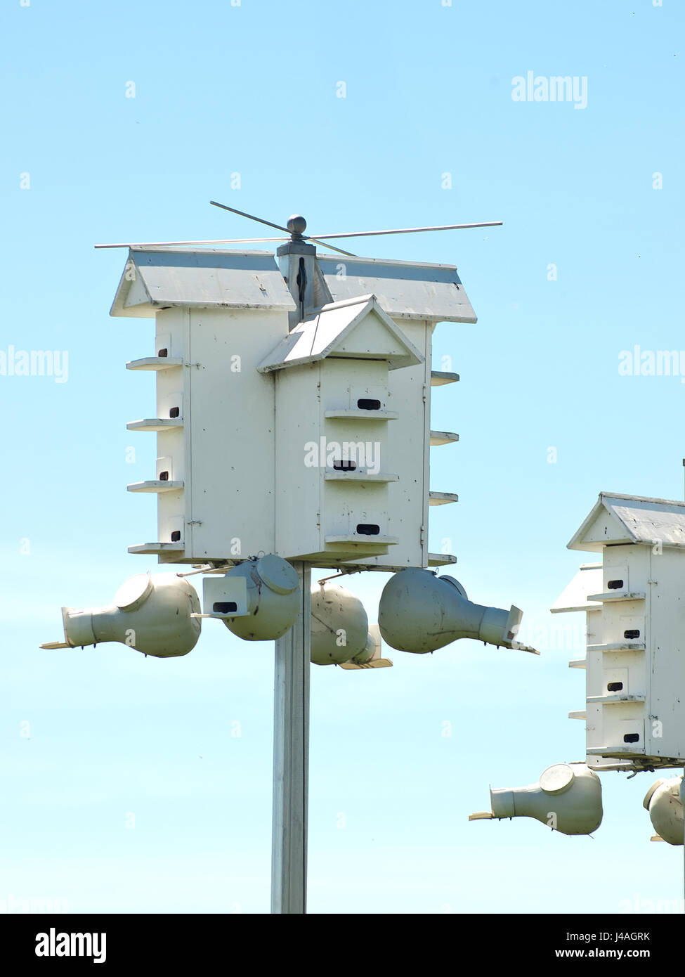 Purple Martin birdhouses Stock Photo