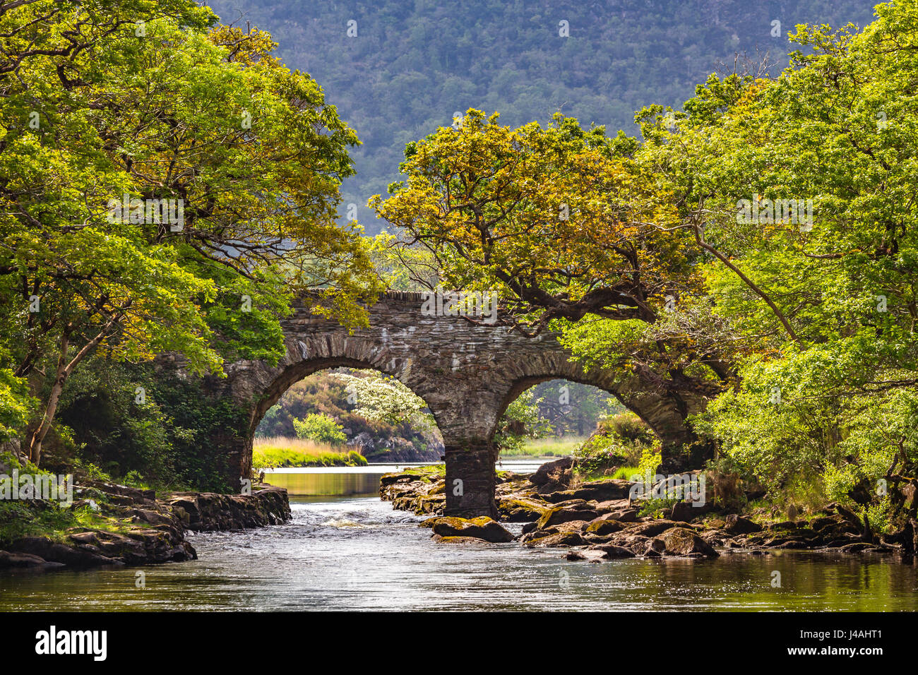Old Weir Bridge at Meeting of the Waters, Killarney National Park, County Kerry, Ireland Stock Photo