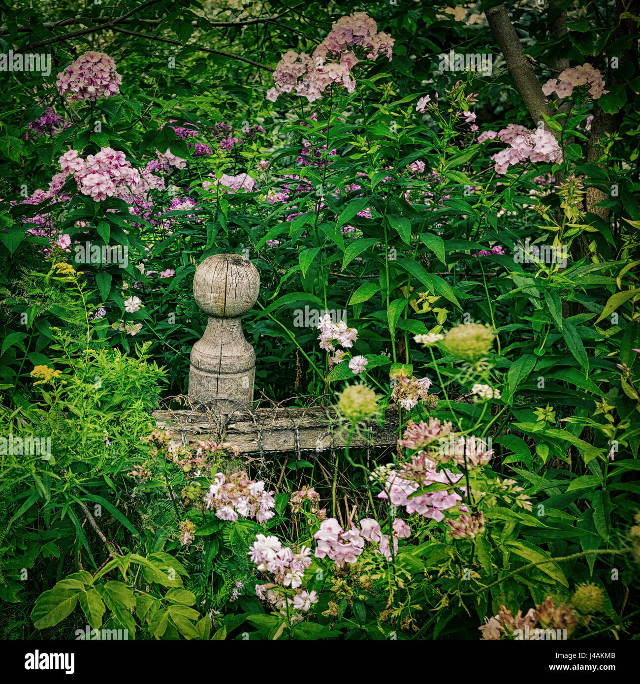 Abandoned garden hi-res stock photography and images - Alamy