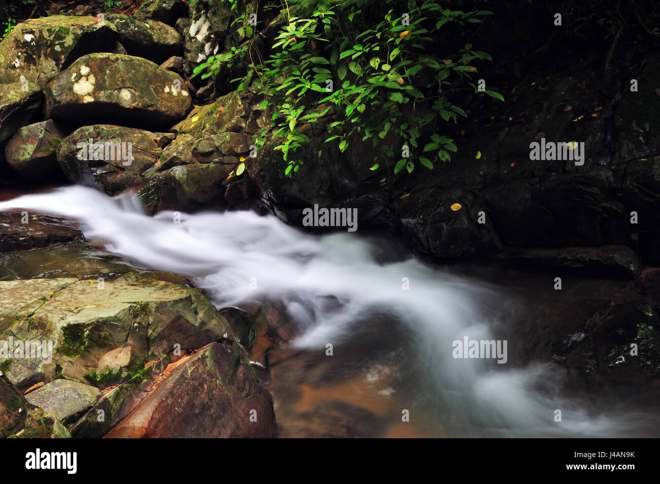 Flowing stream in long exposure Stock Photo