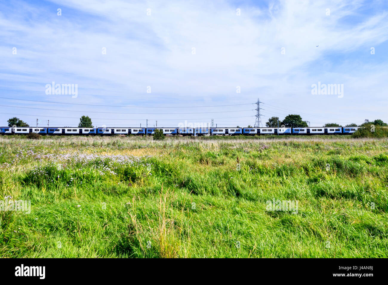 A grassy wild flower meadow on the Walthamstow Marshes, London, UK, a long train on the railway line in the distance Stock Photo
