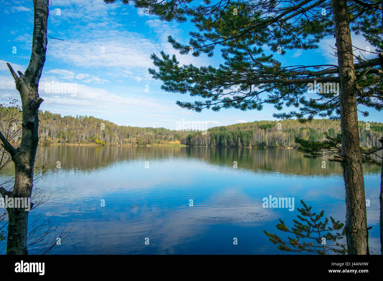 Forest lake under blue cloudy sky Stock Photo - Alamy