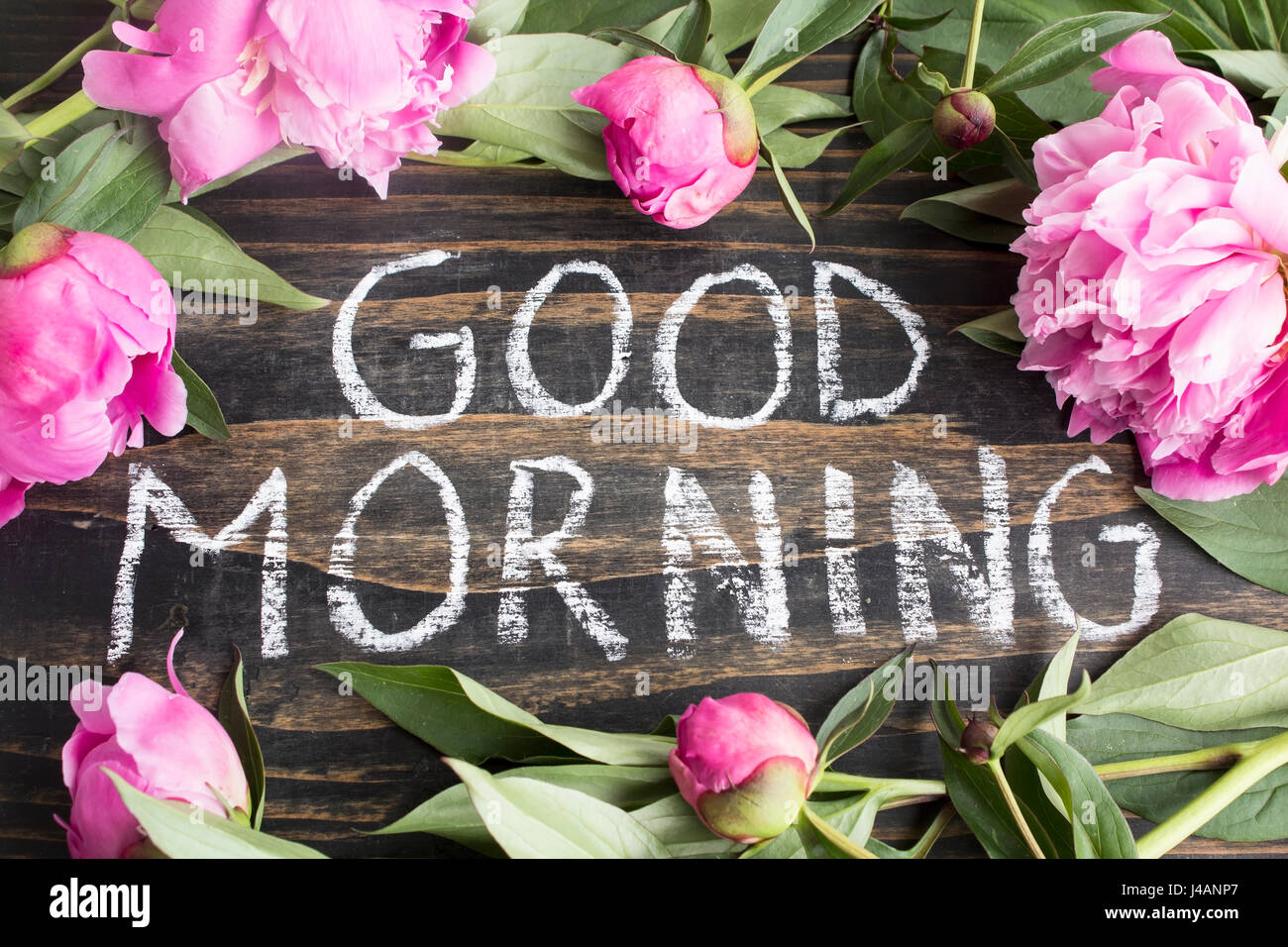 Words Good Morning Spring Flowers Stock Photos Words Good