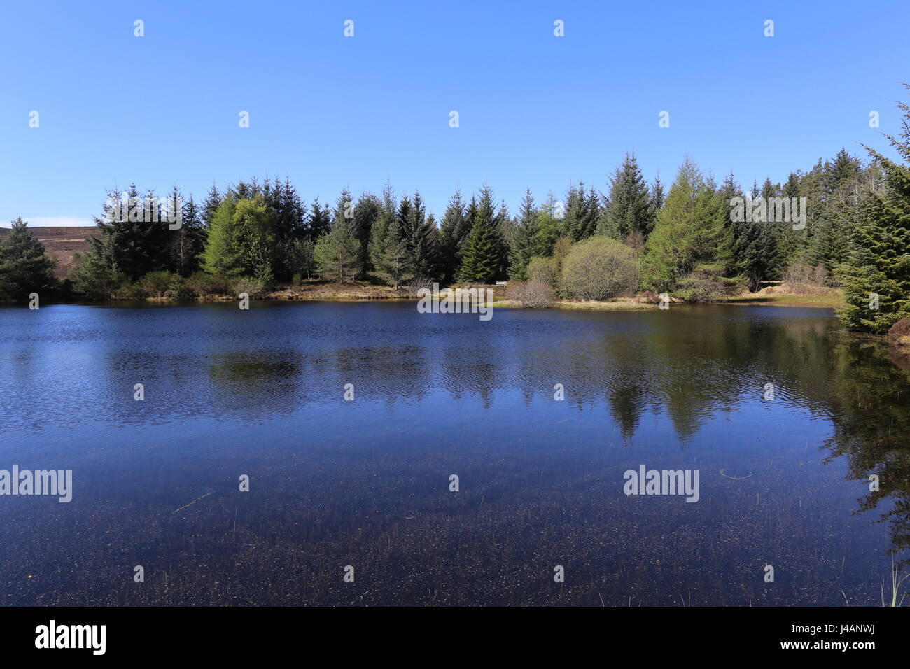 Strath ardle hi-res stock photography and images - Alamy
