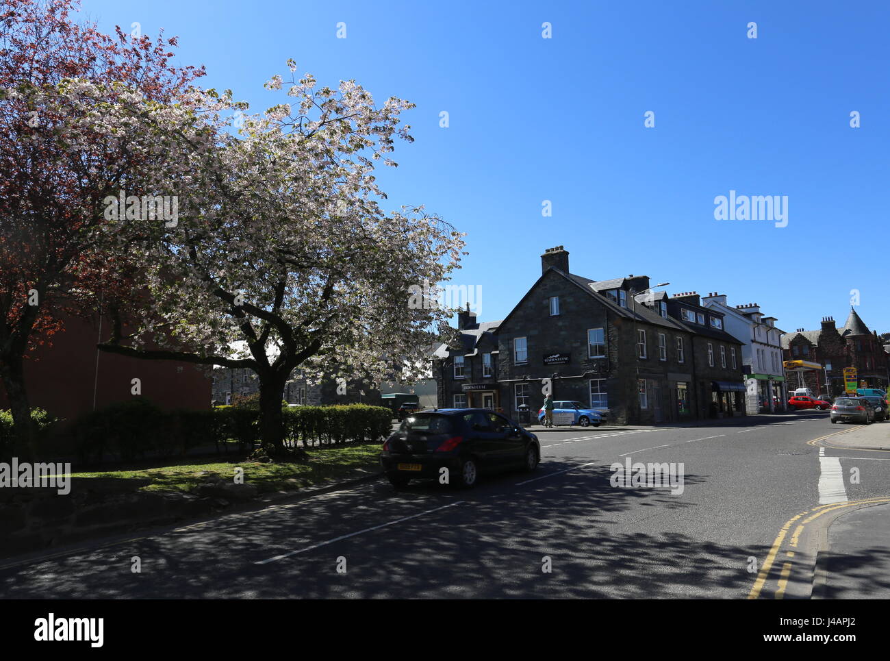 Aberfeldy street scene in springtime with Tree blossom Scotland  May 2017 Stock Photo