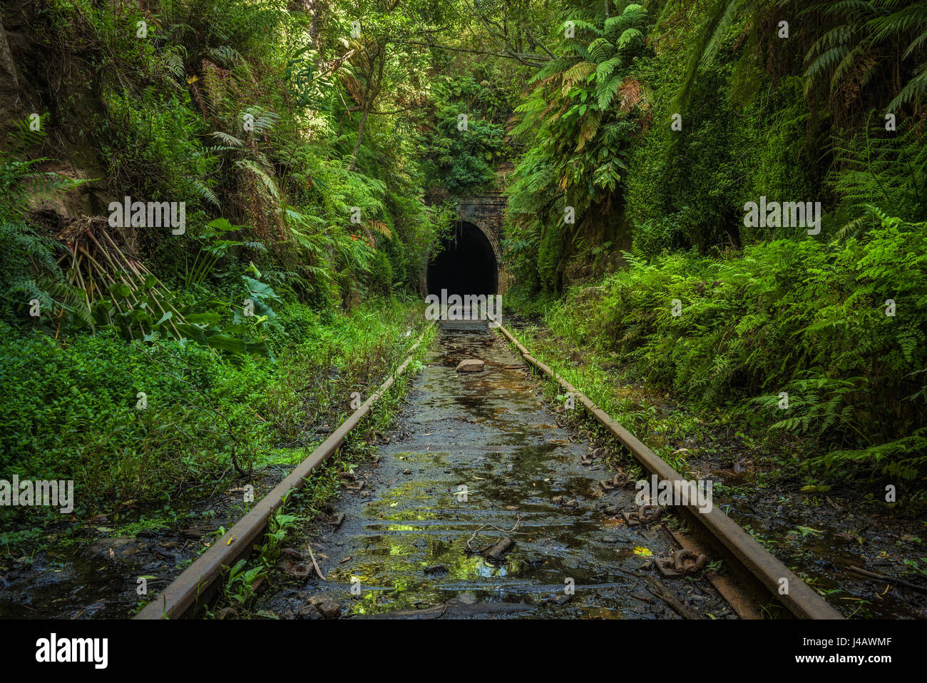 Abandoned railway line and tunnel in Helensburgh near Sydney in New South Wales, Australia Stock Photo