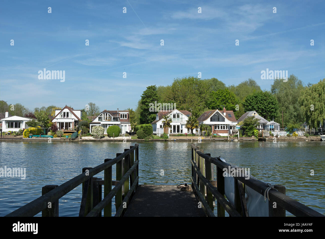 walton upon thames Stock Photo Alamy