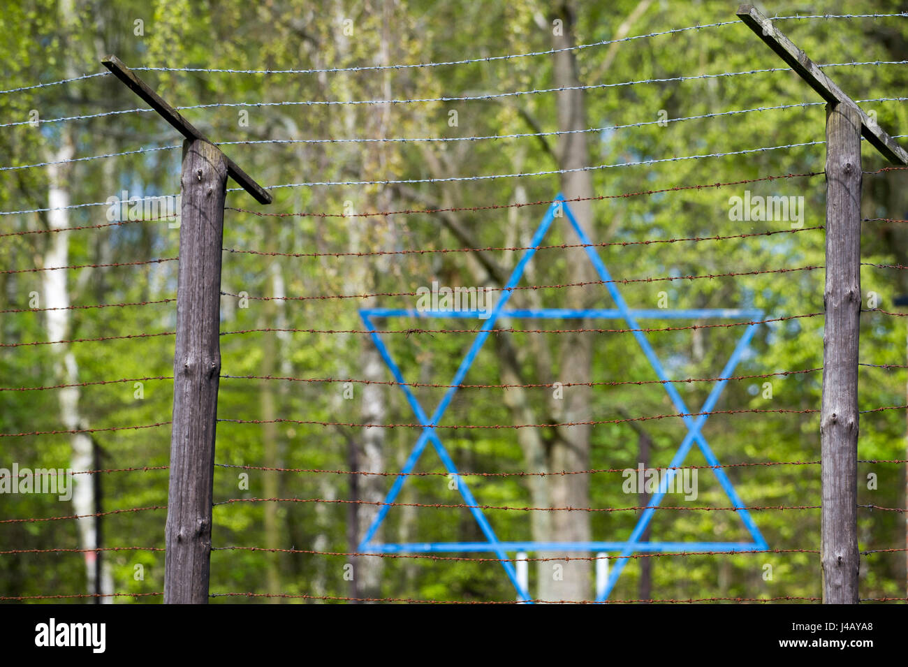 Star of David in Nazi German concentration camp KL Stutthof in 72 ...