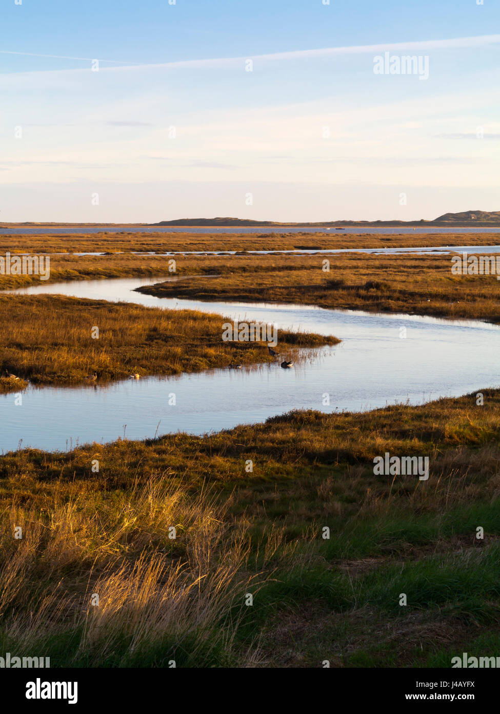 The coastline and saltmarshes at Burnham Deepdale on the North Norfolk coast in England UK Stock Photo