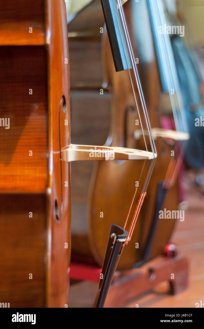 Closeup of Double Bass, Wooden Musical Instrument Stock Photo Alamy