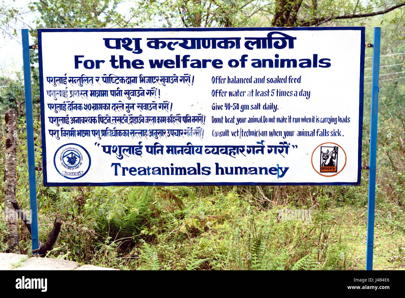 Sign promoting human treatment of animals in Nepal. Stock Photo