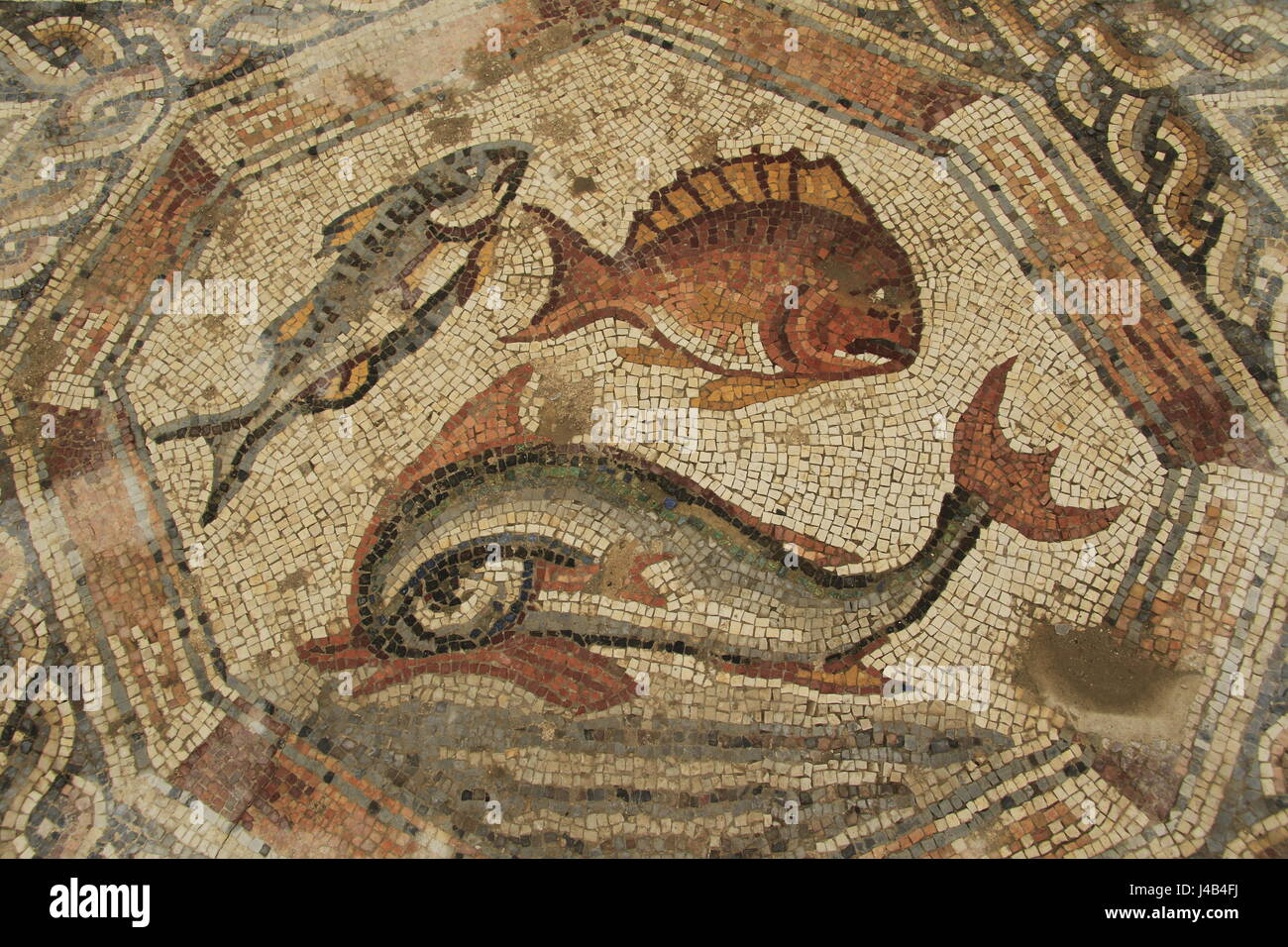 Israel, Lod, a 1,700 Year Old mosaic that was the courtyard pavement of the magnificent villa that had the famous Lod Mosaic in its living room Stock Photo
