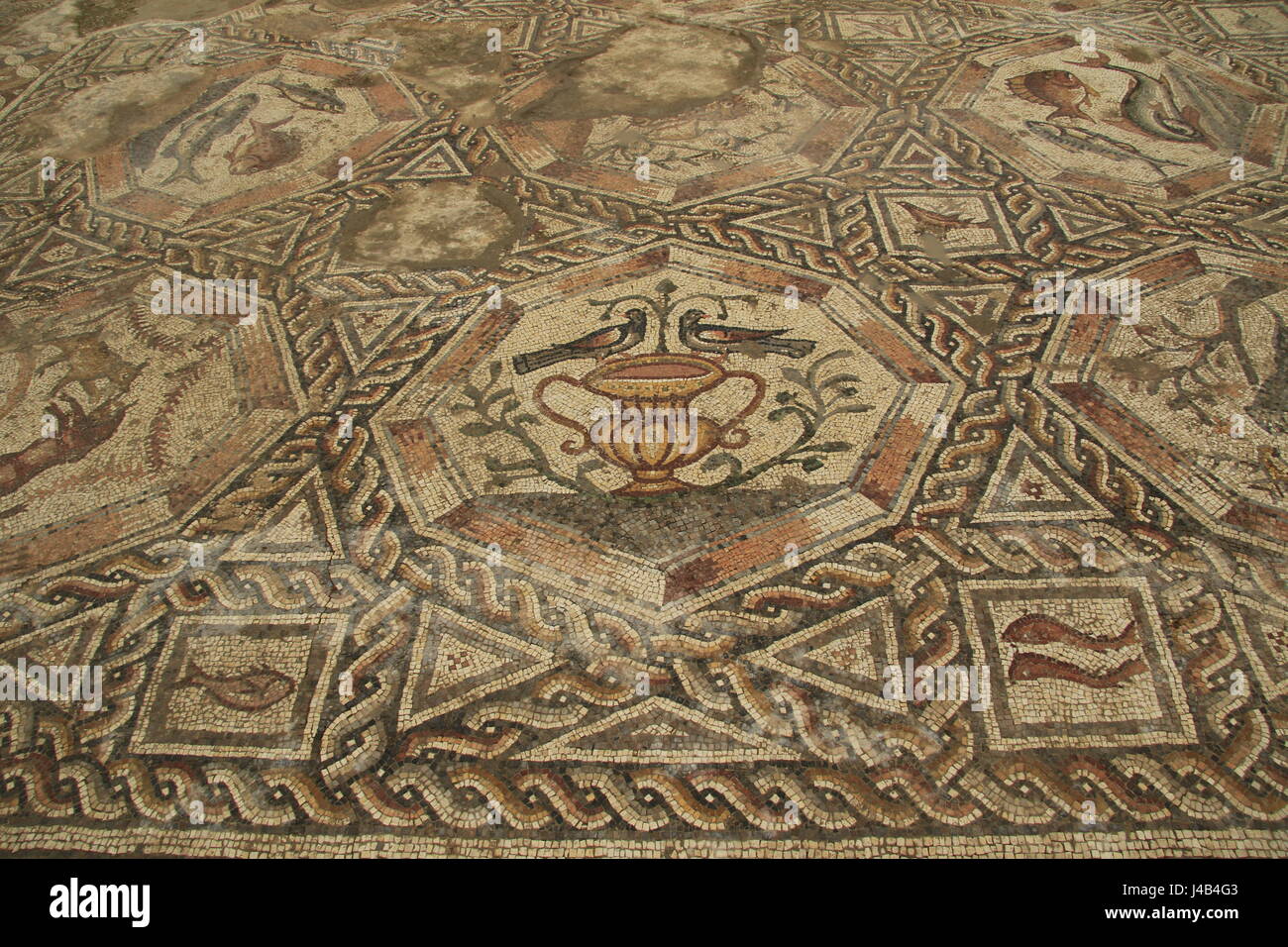 Israel, Lod, a 1,700 Year Old mosaic that was the courtyard pavement of the magnificent villa that had the famous Lod Mosaic in its living room Stock Photo