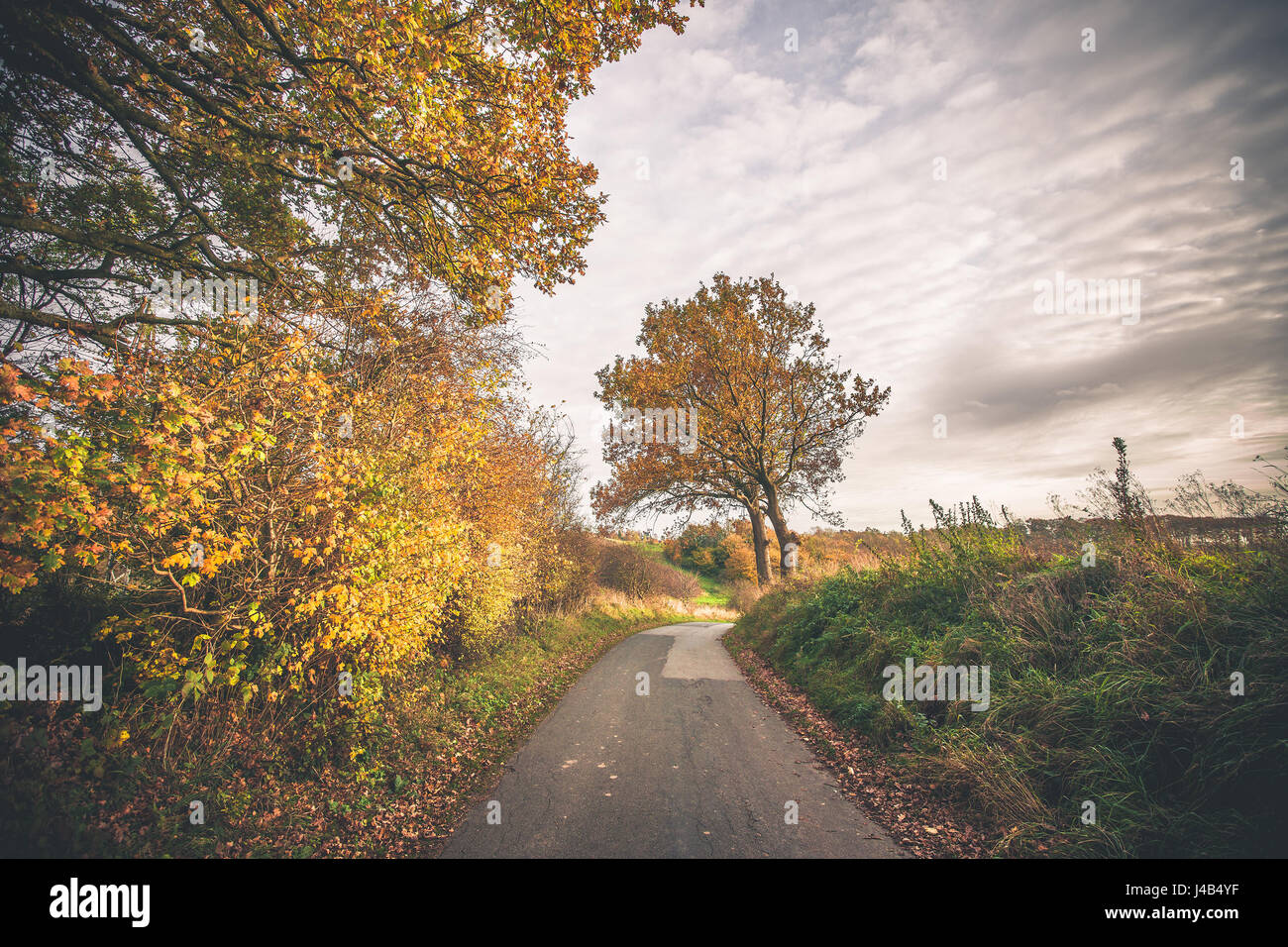 Fall Countryside Trail Trees in autumn colors by a nature trail in a countryside landscape ...