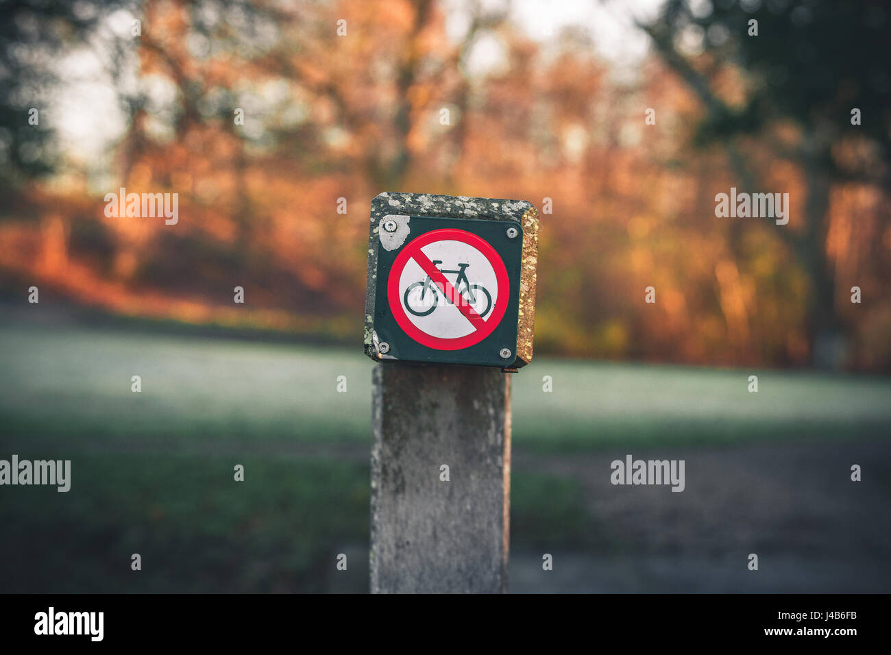 Bike restriction sign in a park in autumn with no bike riding allowed