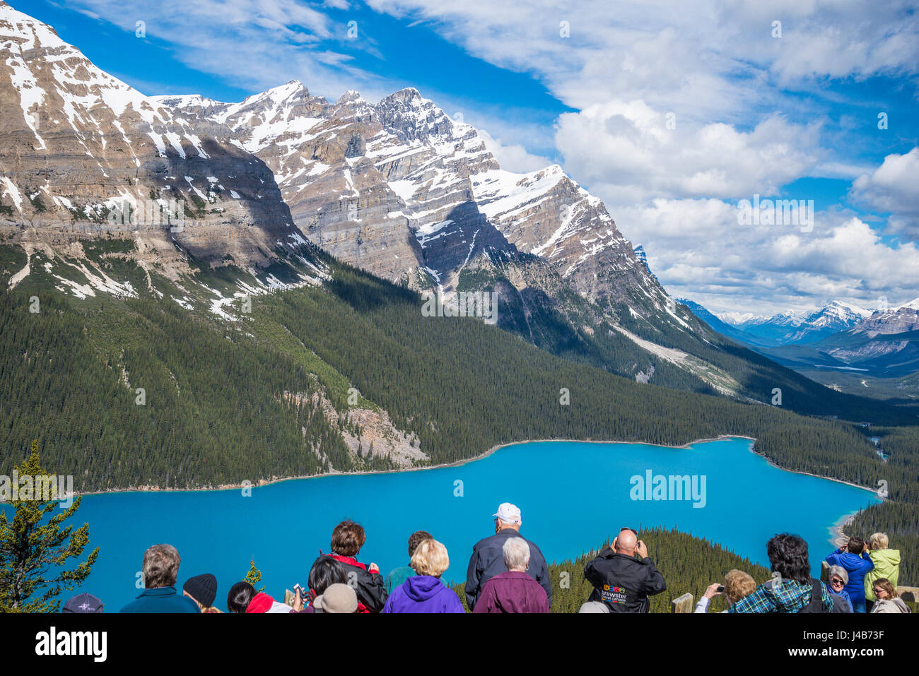 Alberta banff canada peyto lake banff national park canadian rockies hi ...