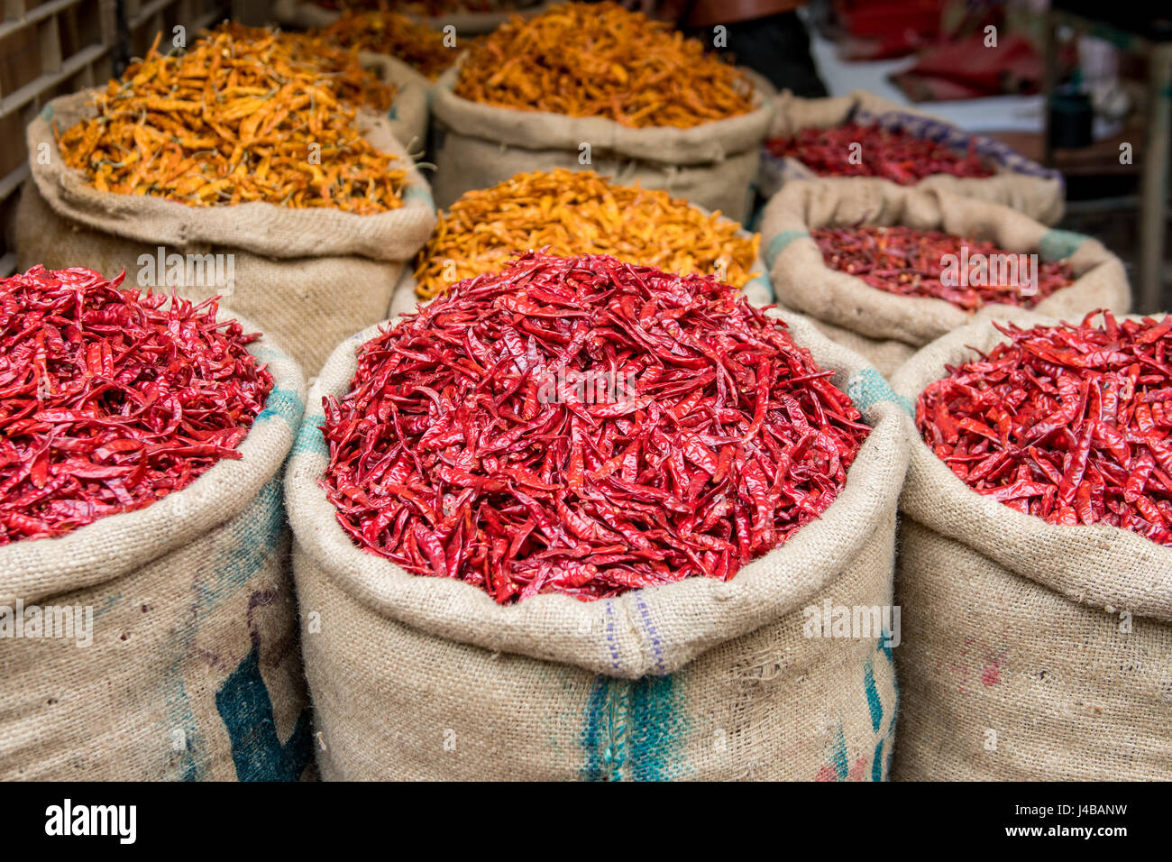 Red chili peppers New Delhi, India Stock Photo Alamy