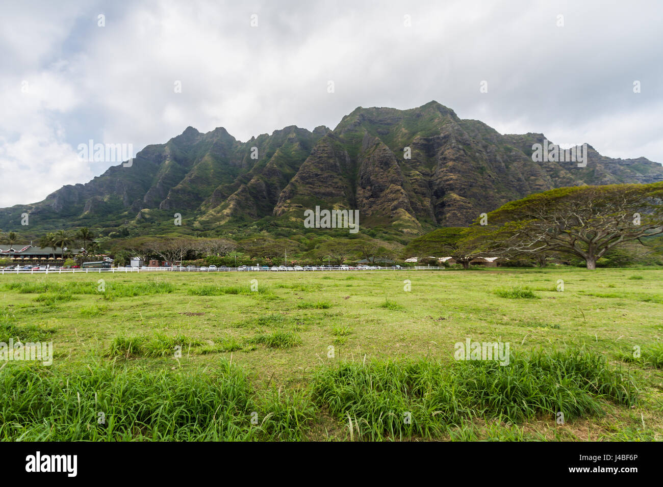 Hawaiian ridge hi-res stock photography and images - Alamy