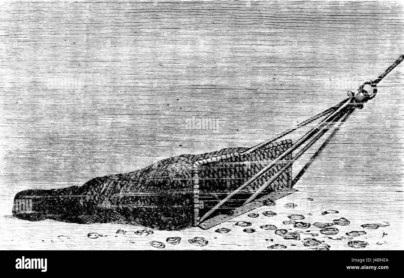 Dredge oyster hires stock photography and images Alamy