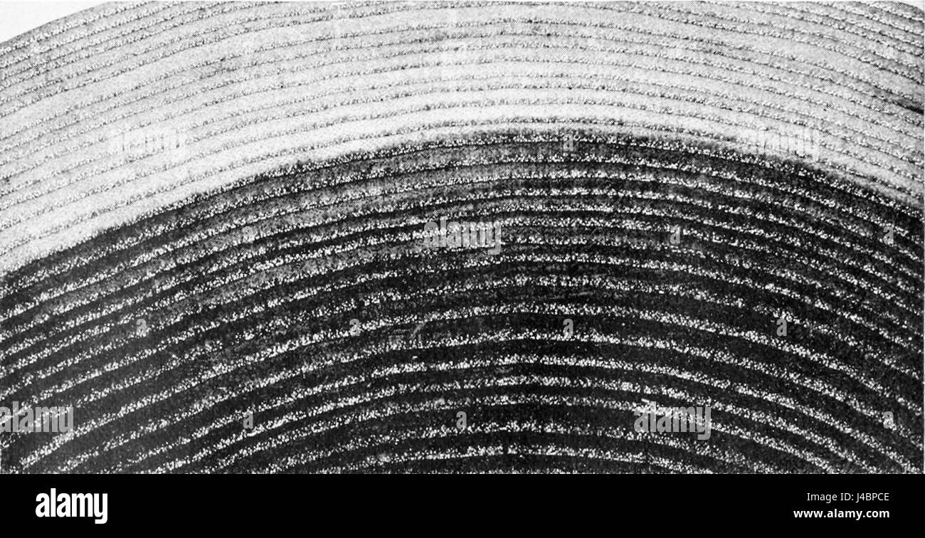 Cross section hi-res stock photography and images - Alamy