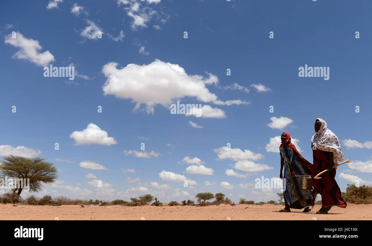 Villagers carry bags of rice, sugar, dates and palm oil back to their houses after collecting their food distribution from charity Action Aid in Sayla Bari, Somaliland. Stock Photo