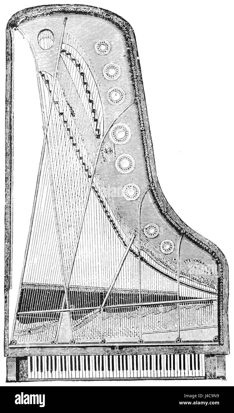 The Steinway grand piano, as depicted in PSM V40 D506, features a unique fan-shaped string disposition. This design helps improve the pianoâ€™s acoustics, offering a rich and powerful sound characteristic of Steinway pianos. Stock Photo