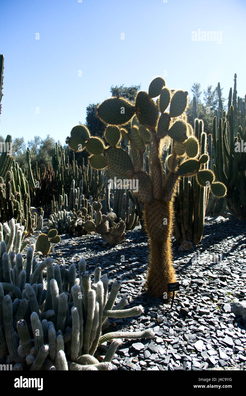 California Stock Photo