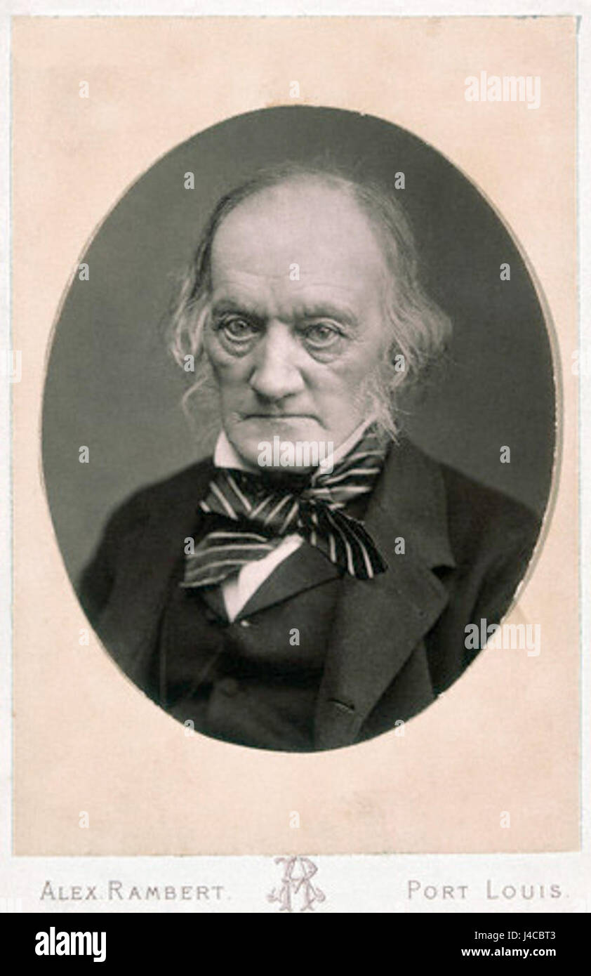 Richard Owen about 1880 Stock Photo