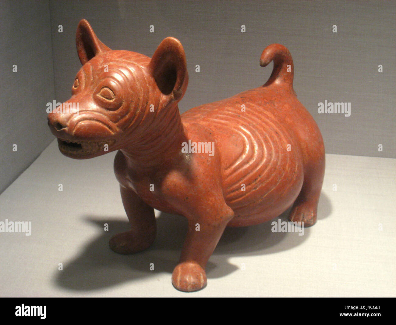 Pot bellied Dog Figure, Mexico, State of Colima, 200 BC   500 AD, ceramic, Pre Columbian collection, Worcester Art Museum   IMG 7646 Stock Photo