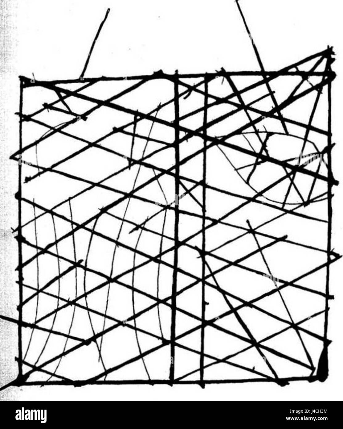 Polynesian navigation device showing directions of winds, waves and