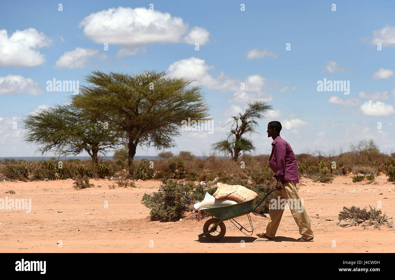 A villager carries bags of rice, sugar, dates and palm oil back to his house after collecting food distribution from charity Action Aid in Sayla Bari, Somaliland. Stock Photo