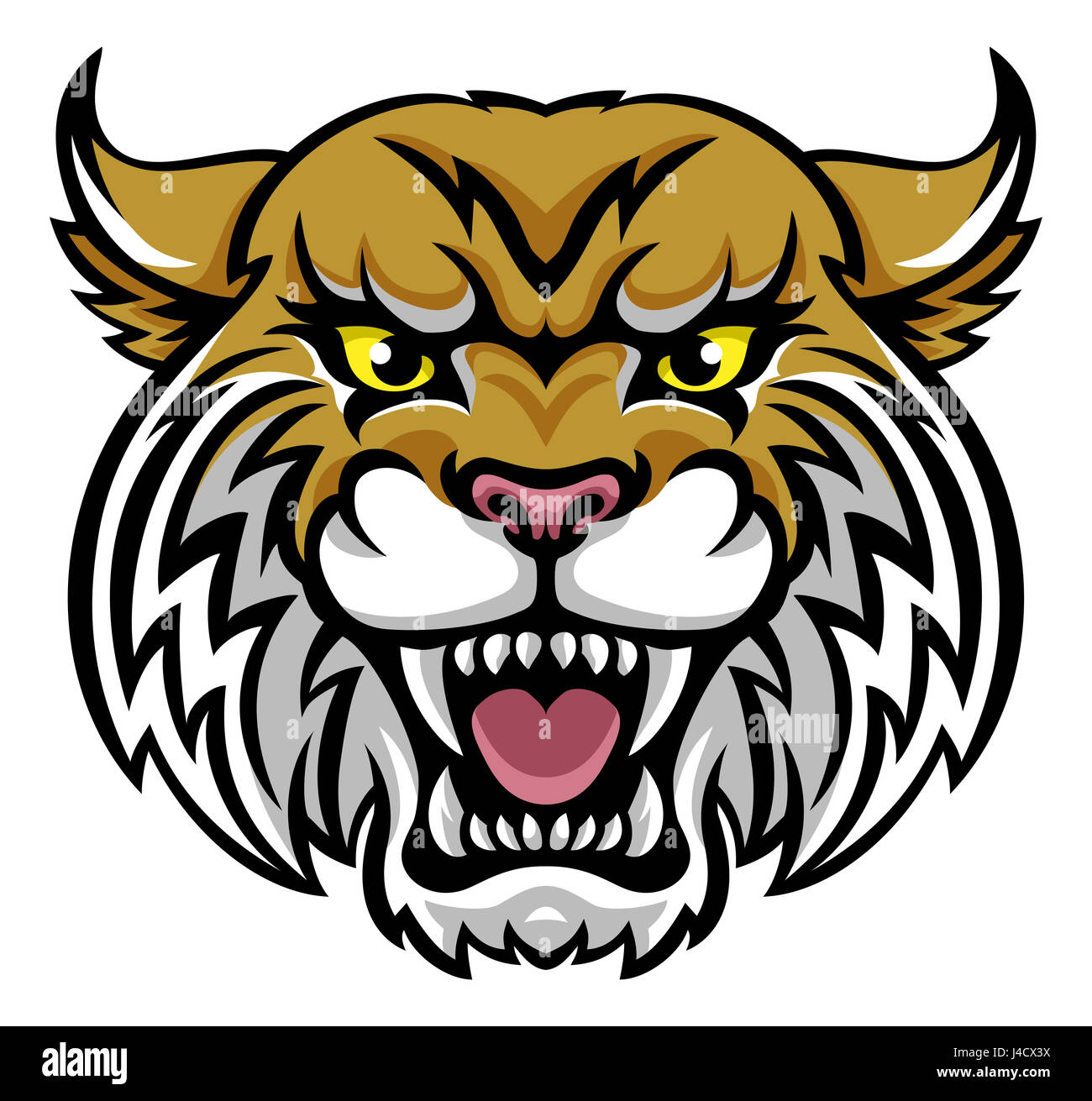 An angry looking wildcat or bobcat mascot animal character Stock Photo