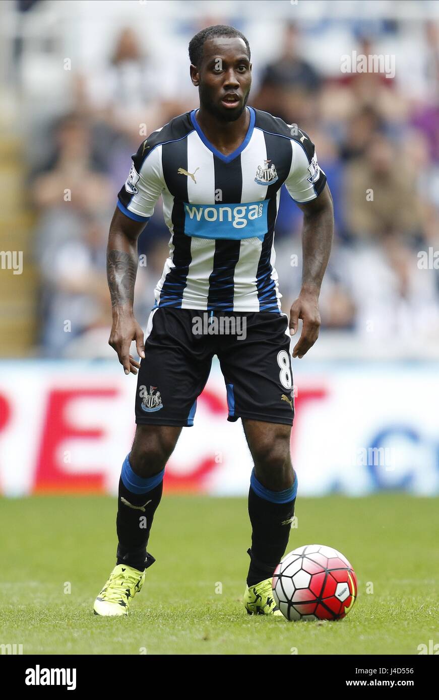 VURNON ANITA NEWCASTLE UNITED FC NEWCASTLE UNITED FC ST JAMES PARK NEWCASTLE  ENGLAND 09 August 2015 Stock Photo - Alamy