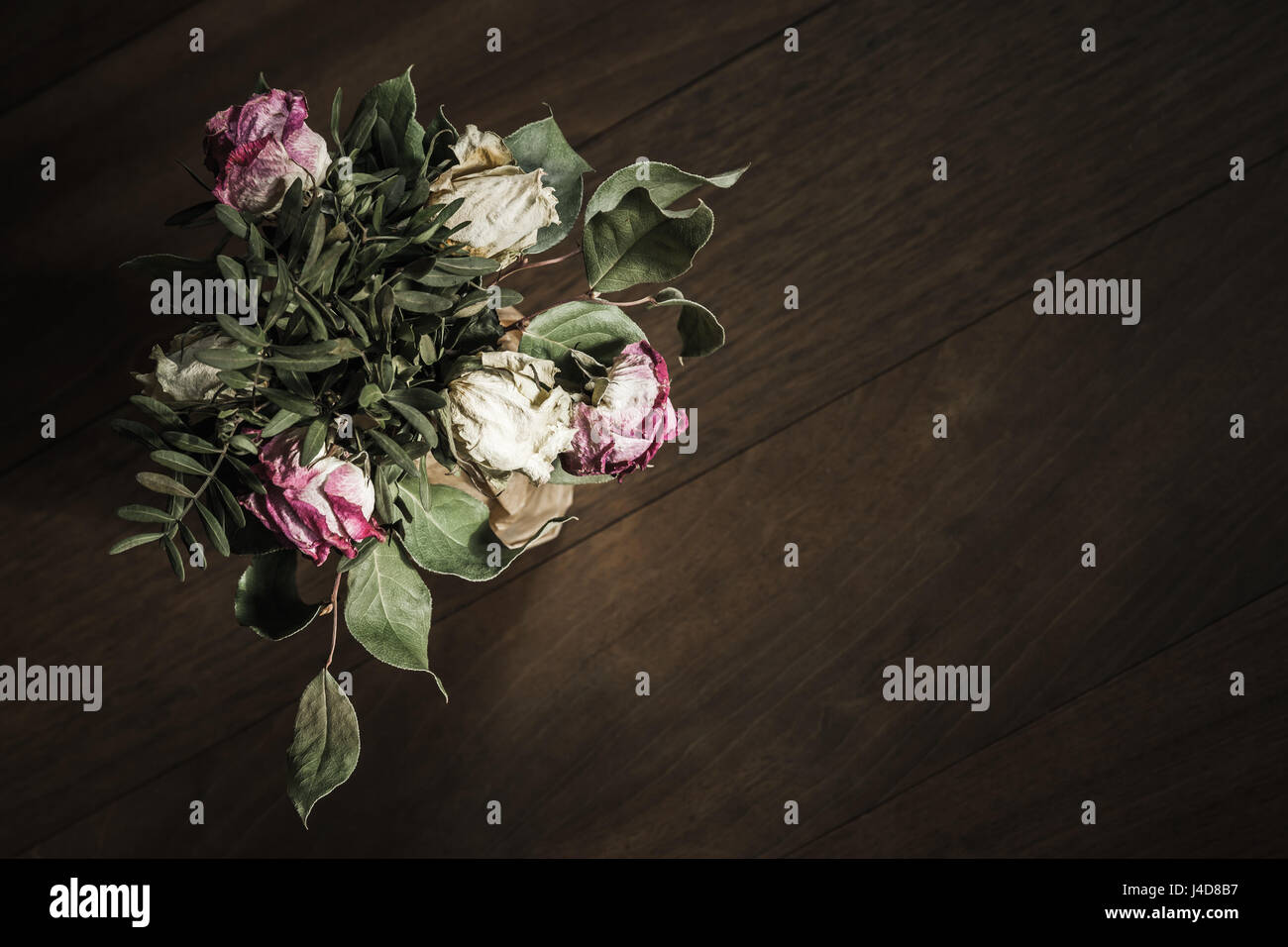 Low key roses hi-res stock photography and images - Alamy